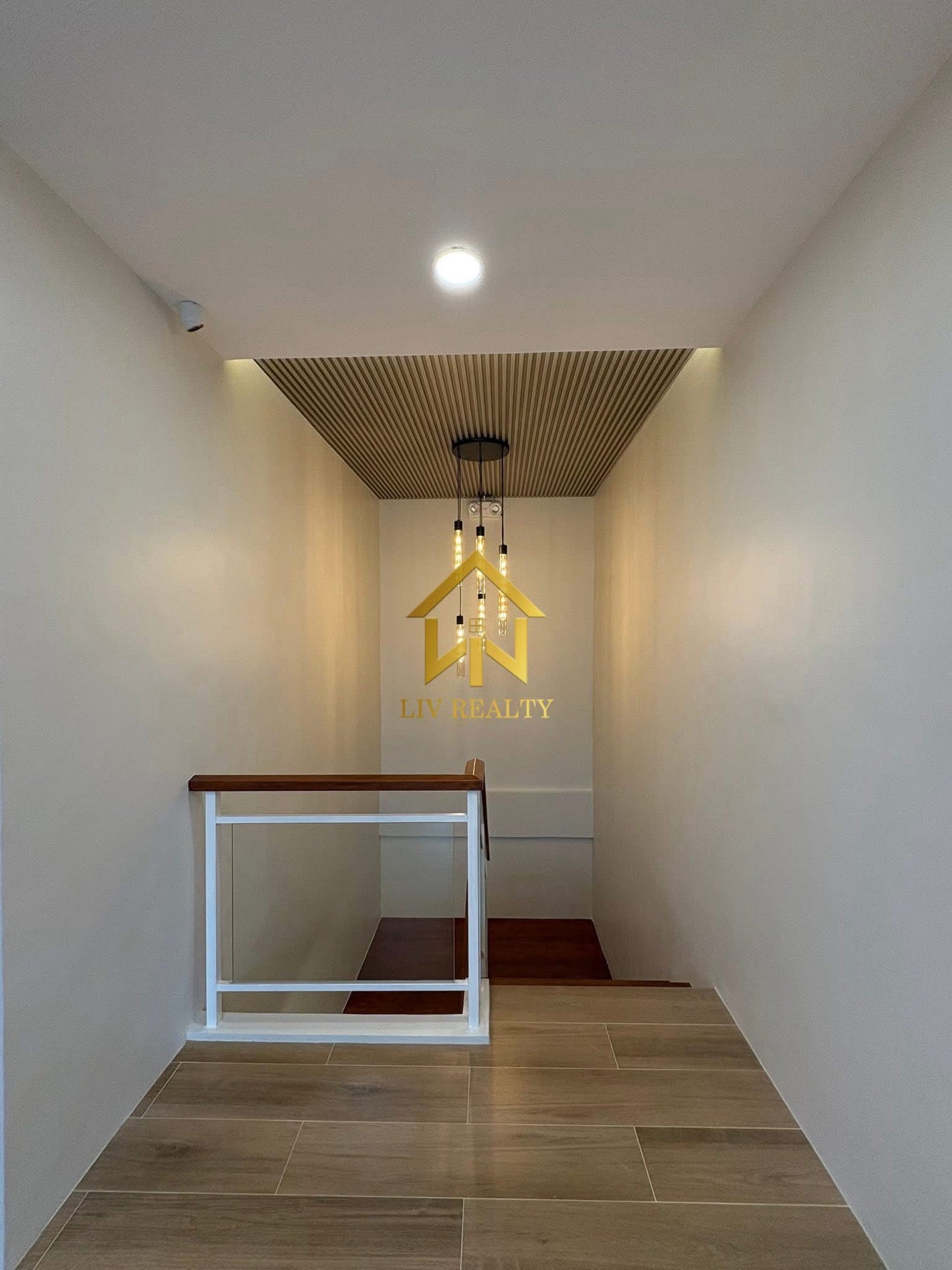 Modern Contemporary House