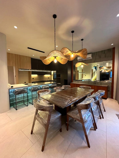 Furnised Modern Home