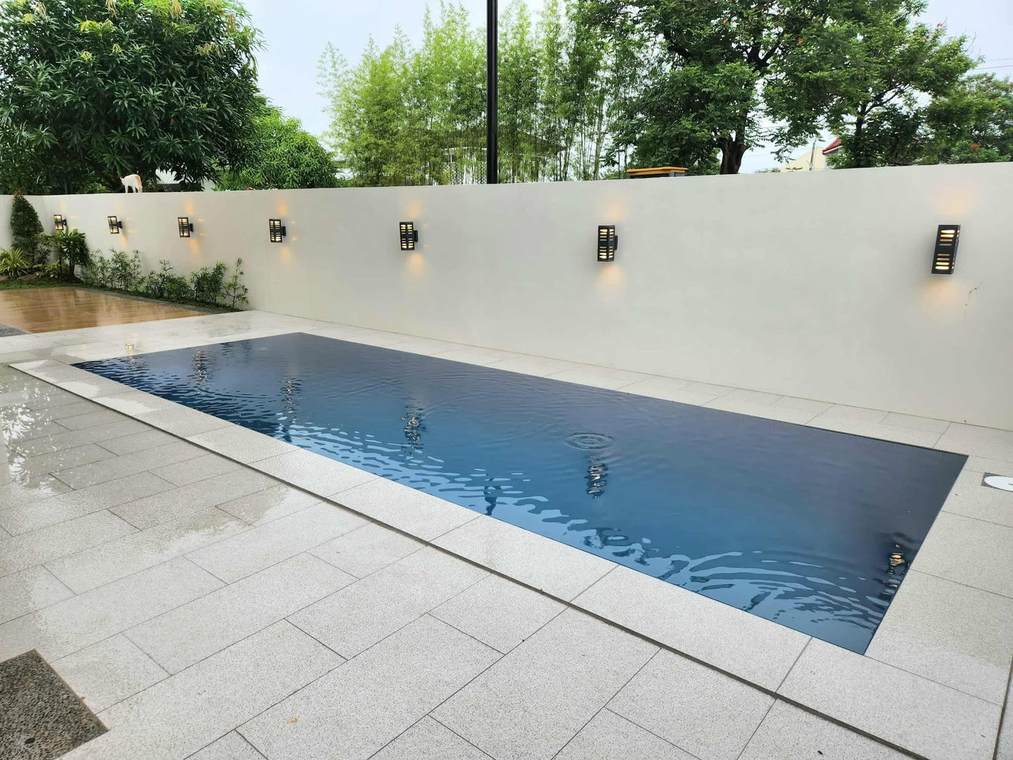 Elegant Modern Home with Pool