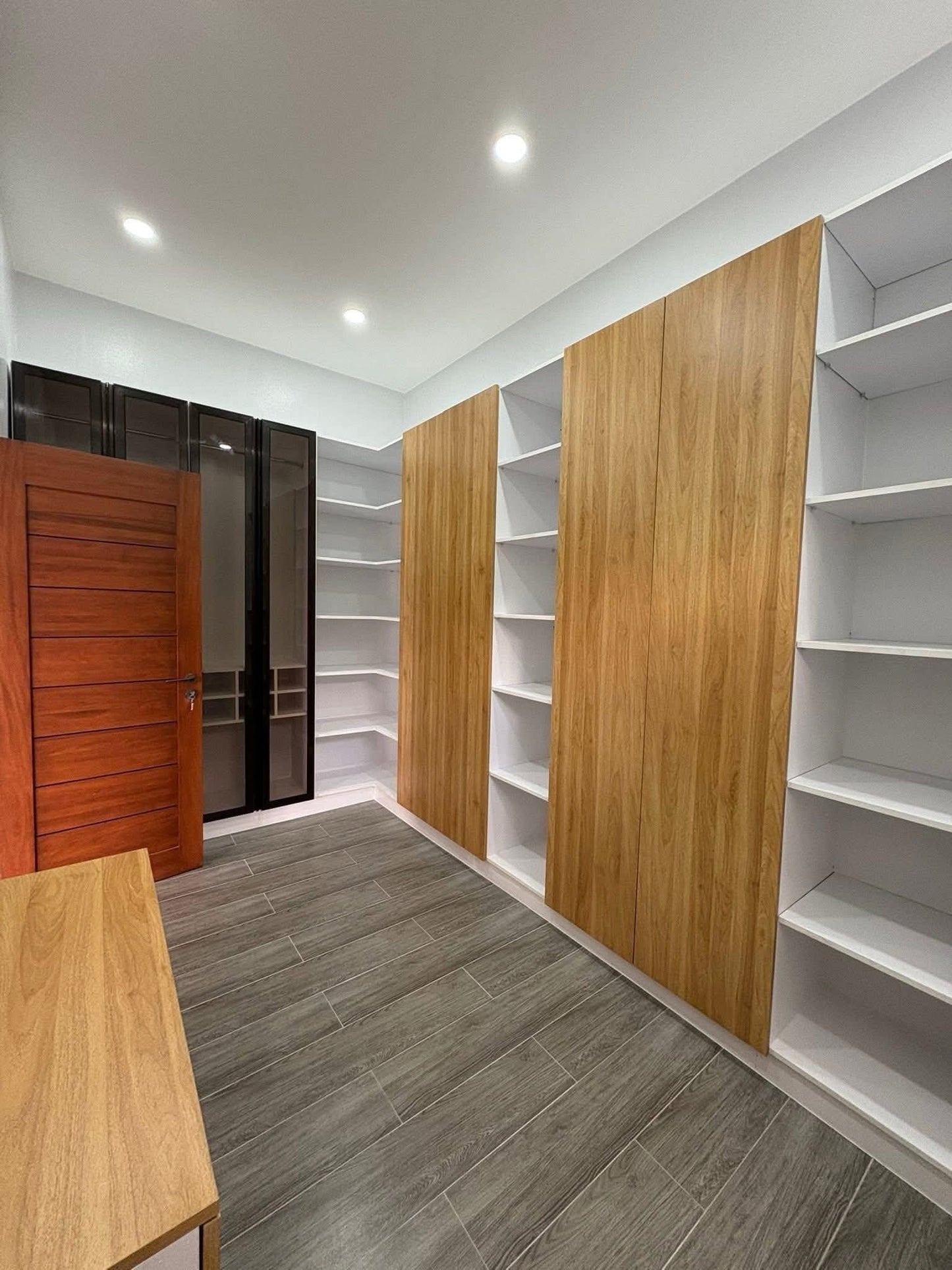 Modern Contemporary House