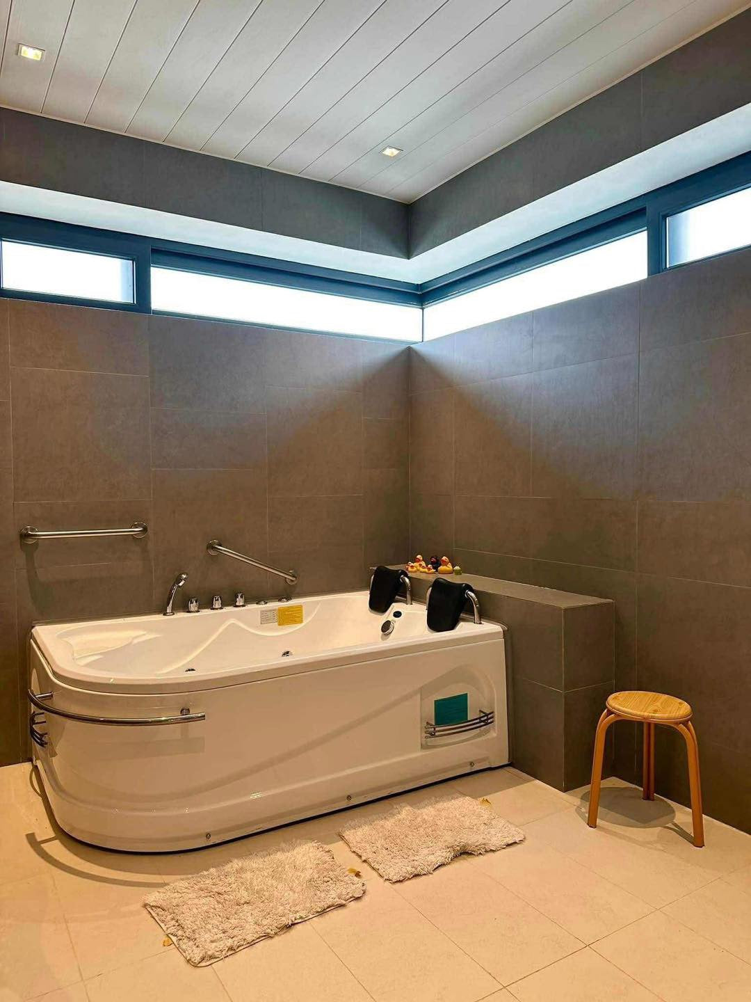 Huge House With Pool